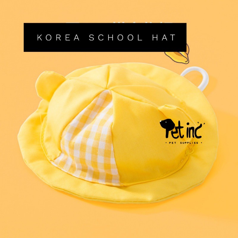 korea kindergarten school hat