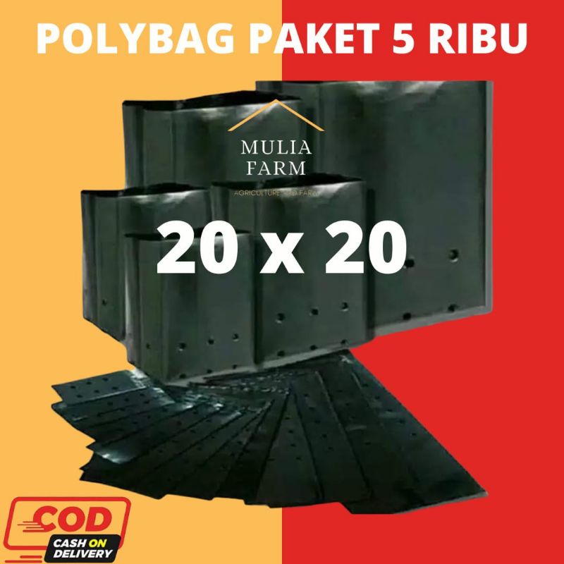 POLYBAG ISI 30 UKURAN 20 X 20 POLIBAG TANAMAN COD
