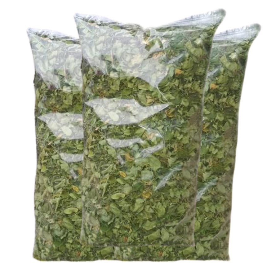 

Daun Kelor Kering Asli 100 gram ASI Booster Rempah JSR Herbal