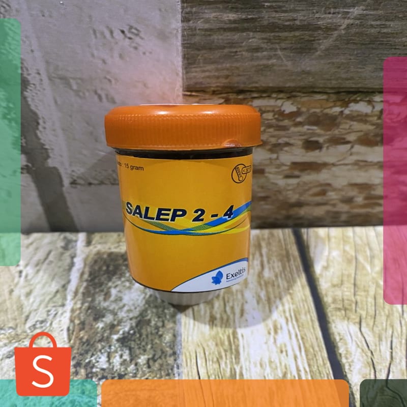 Termurah salep 24 salep kudis salep 2 4 original