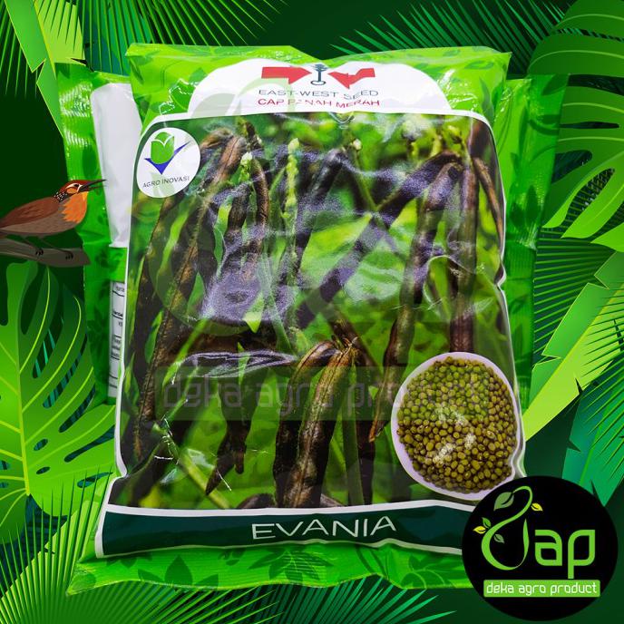 BIBIT BENIH KACANG HIJAU EVANIA 1KG