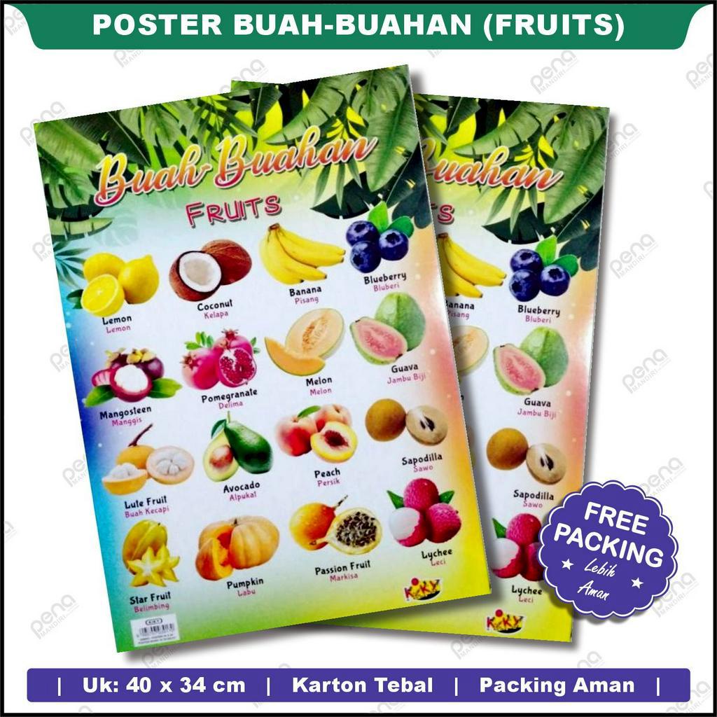 Poster Edukasi Buah-buahan / Fruits - Poster Buah