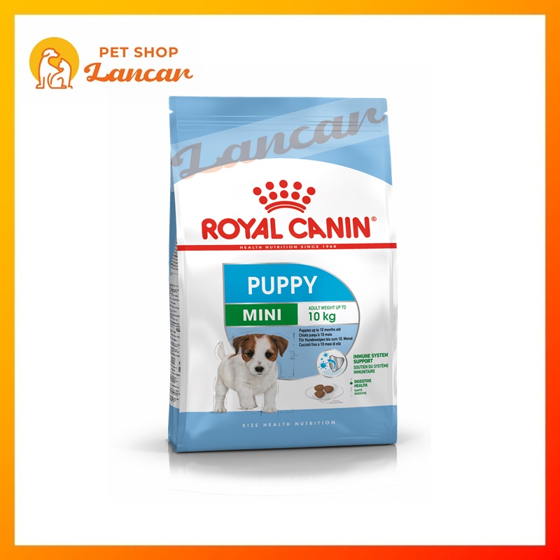 Royal Canin Mini Junior 4Kg - Makanan Anjing