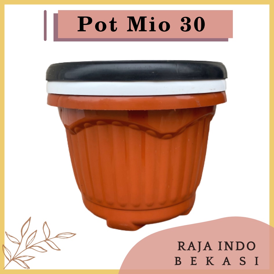 Pot Shallom Mio 30 Putih Hitam Merah BataTerracota Terracotta Merah Coklat Pot Bunga Plastik Tebal Murah Besar Kuat Motif Model Belimbing 30 cm Putih Hitam Selusin Lusinan Tebal - SHALLOM MIO 30 pot bunga bulat besar tebal murah