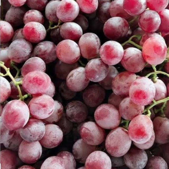 

Buah anggur rrc fresh