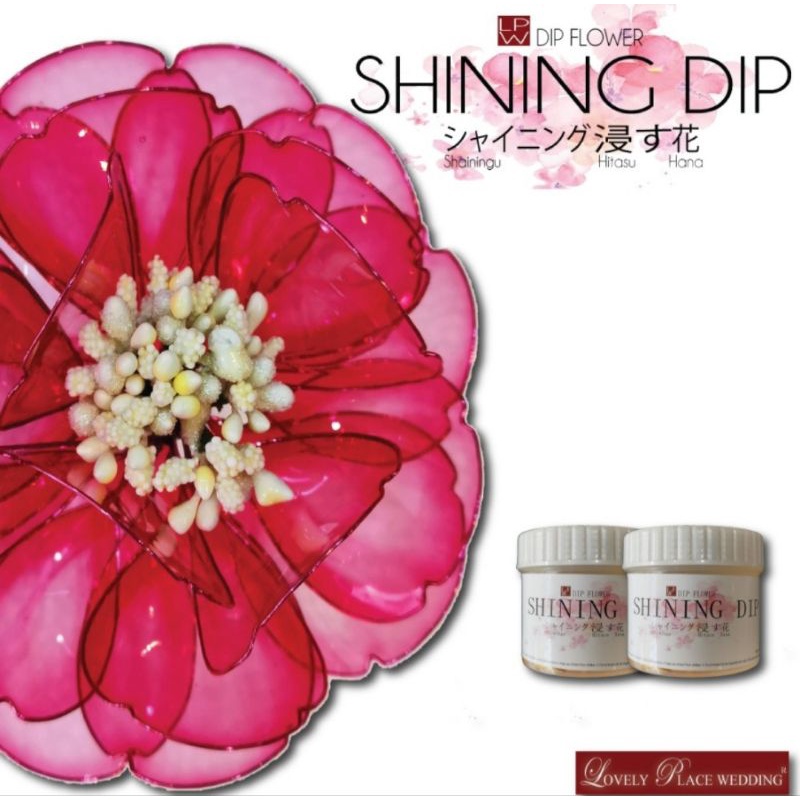 

Flower Shining Dip Liquid Colour