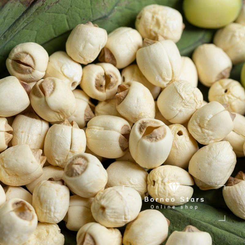 

Biji teratai Alami 100 gram/Dry lotus/天然莲子