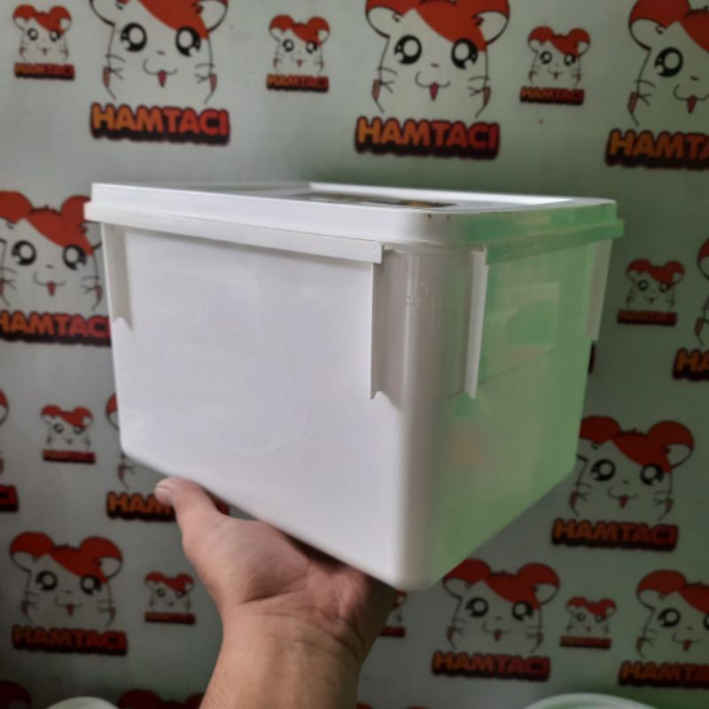 EMBER KOTAK 8LITER NON MODIF MULTIFUNGSI HAMSTER/CUPANG/HIDROPINIK BY HAMTACI