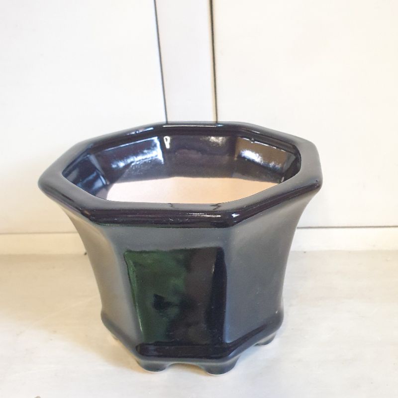 KENGAI - POT KERAMIK MAME SHINTO BONSAI BESAR TFJARTISAN