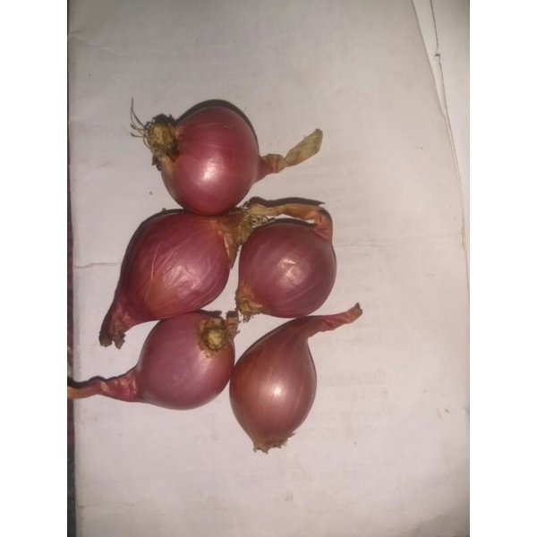 

bawang merah kering asli dari kampung 1 kg