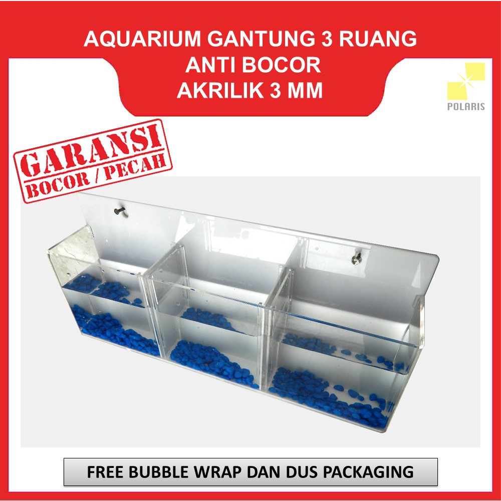 AKUARIUM CUPANG GANTUNG / SOLITER CUPANG GANTUNG / AQUARIUM AKRILIK DINDING 3 RUANG