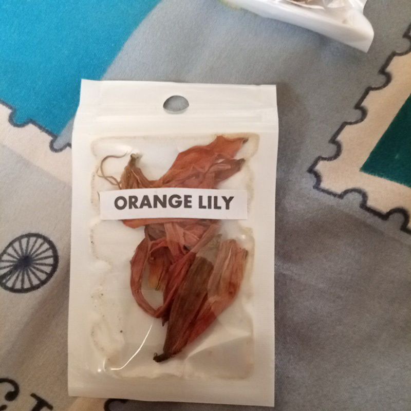 

Teh Orange Lily
