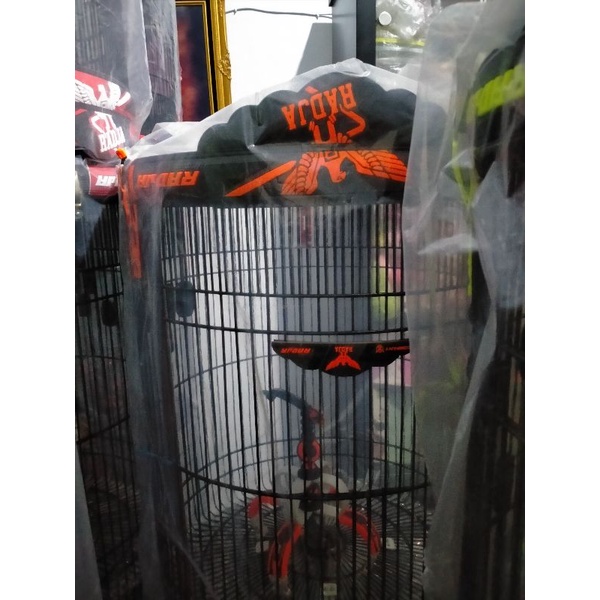 sangkar Radja carbon oren