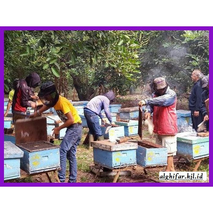 

MADU-MINUMAN- MADU ASLI MURNI 100% - MADU ORGANIK - 0.4KG -ASLI-BUKAN-KAWE-KAWE-
