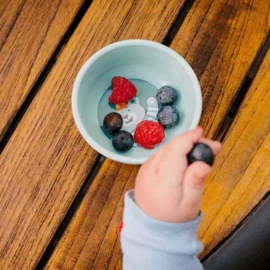 Tum Tum 2 X Non Slip Peepo Bowls - Mangkuk Makan Bayi