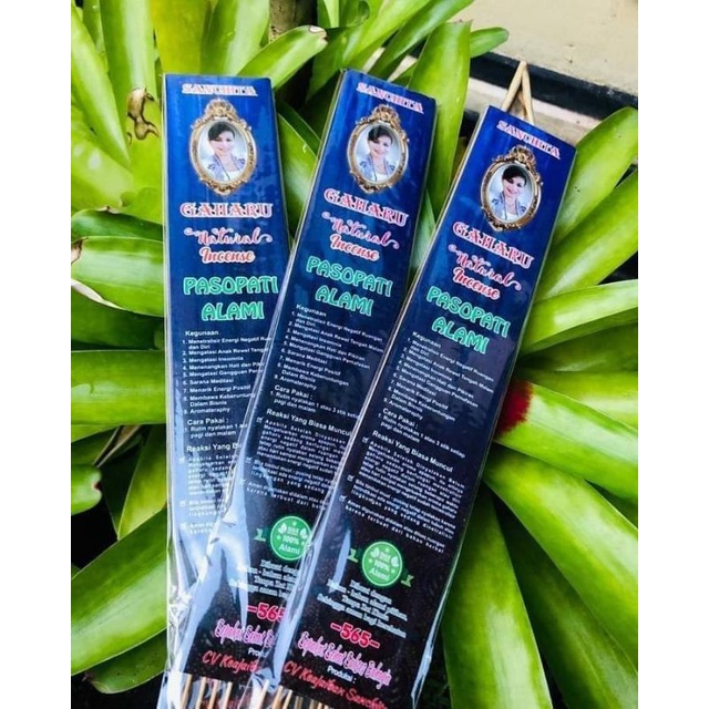 Dupa Gaharu Sanchita Pasopati Alami