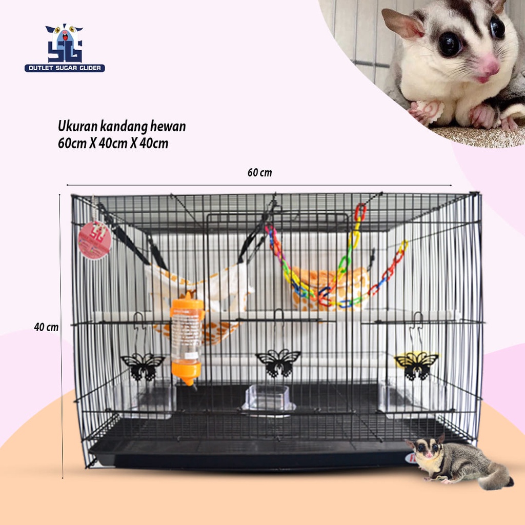 SPESIAL PAKET KANDANG 60CM - SUGAR GLIDER