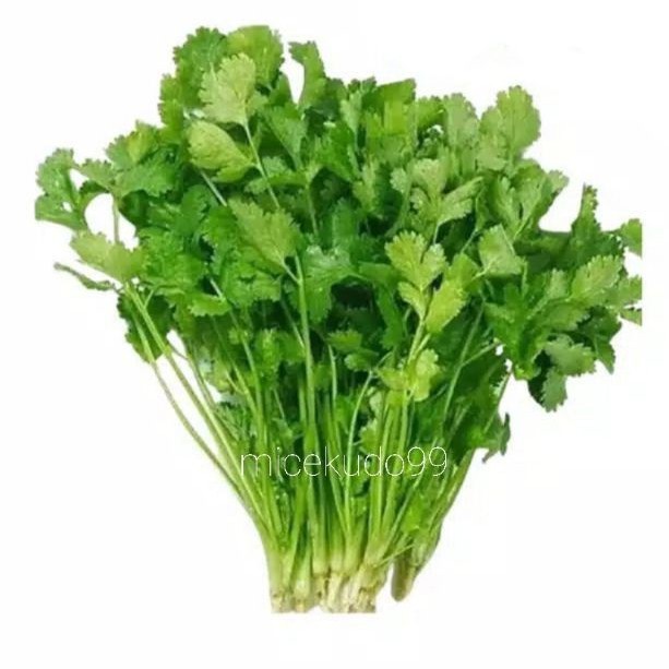 

CORIANDER LEAF FRESH 100GR ORGANIC CORRIANDER / DAUN KETUMBAR SEGAR YENSUI WANSUI ORGANIK