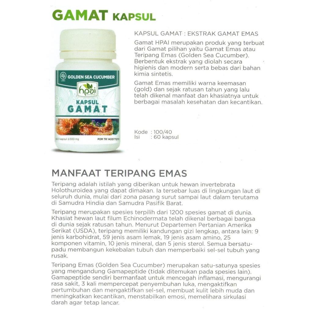 Kapsul Gamat Teripang Gold Sea Cucumber Timun Laut Emas Golden