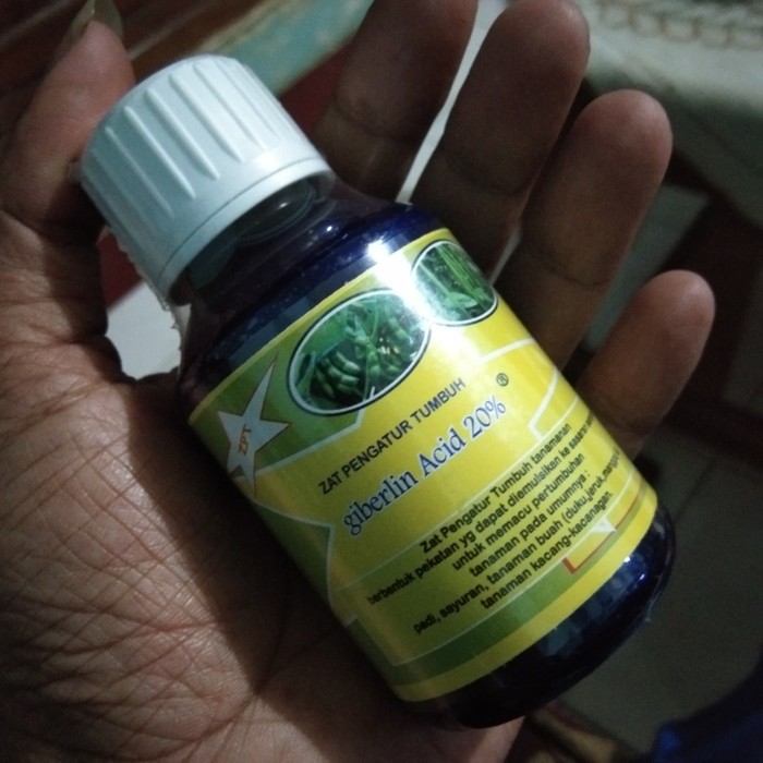 zat pengatur tumbuh giberelin acid 20% kemasan 100 ml