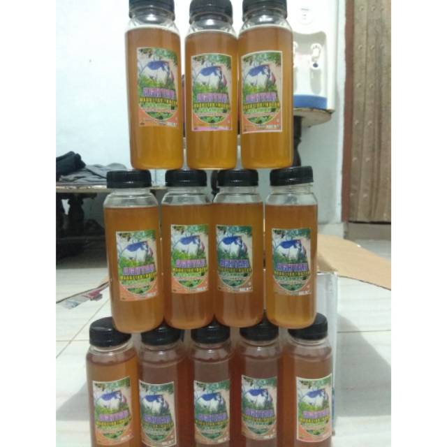 

AGHTAR Madu Hutan Asli
