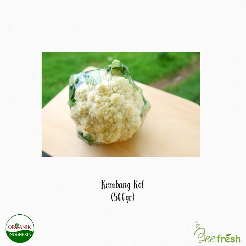 

KEMBANG KOL ORGANIK
