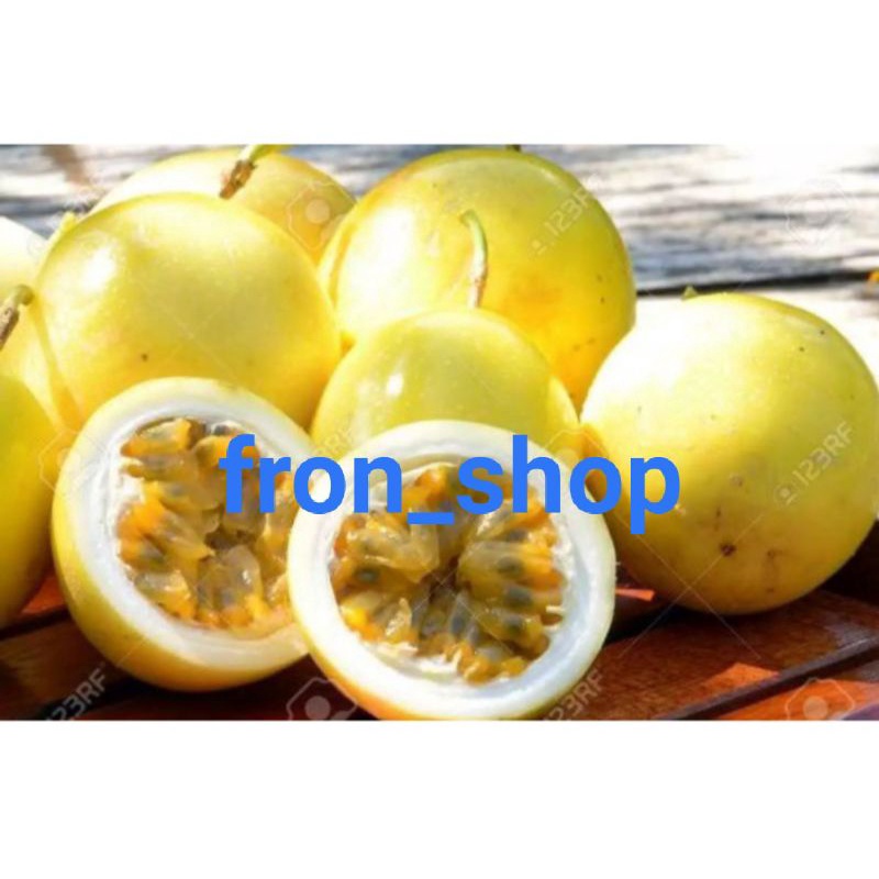 

2KG BUAH MARKISA KUNING | MARKISA SEGAR PRESH