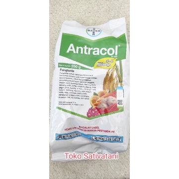 Antracol 70 WP 250 gram