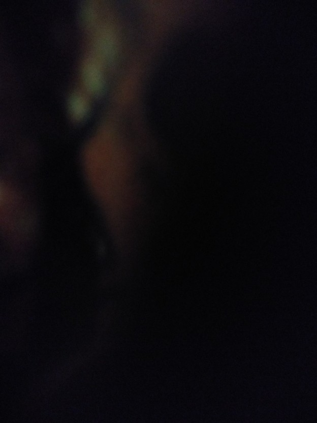 Parutan Serbaguna/ Parutan Wortel/ Parutan Kentang