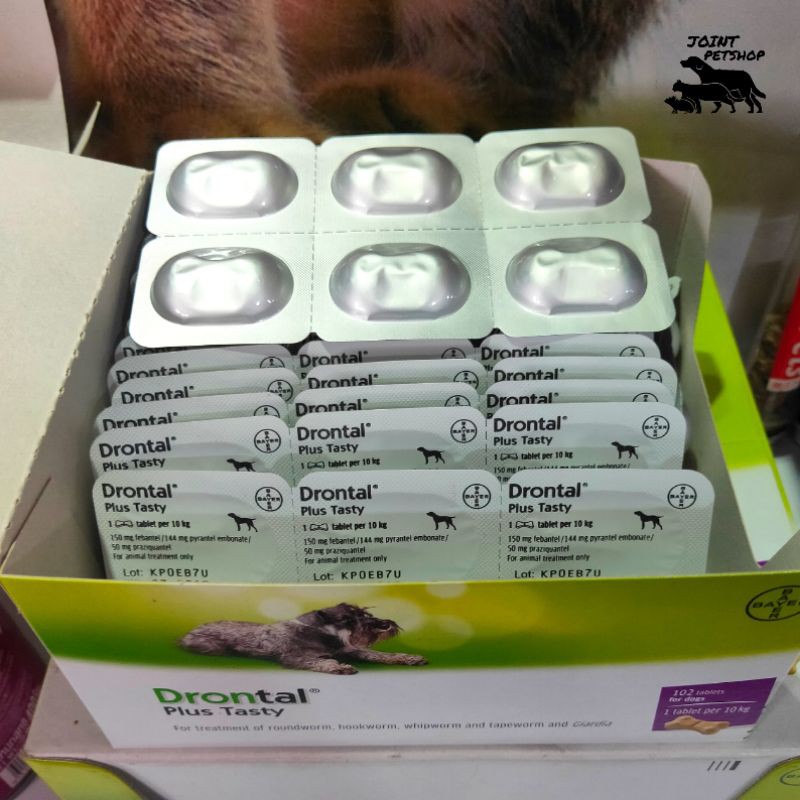 Obat Cacing Anjing Drontal Dog Plus Tasty 1tablet