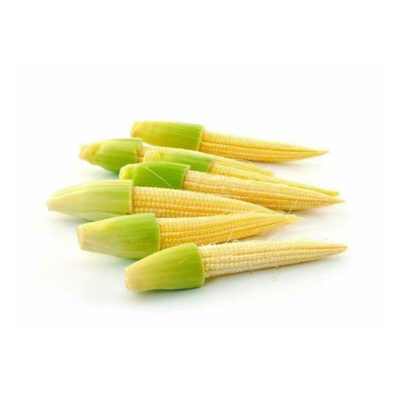 

Jagung muda/putren