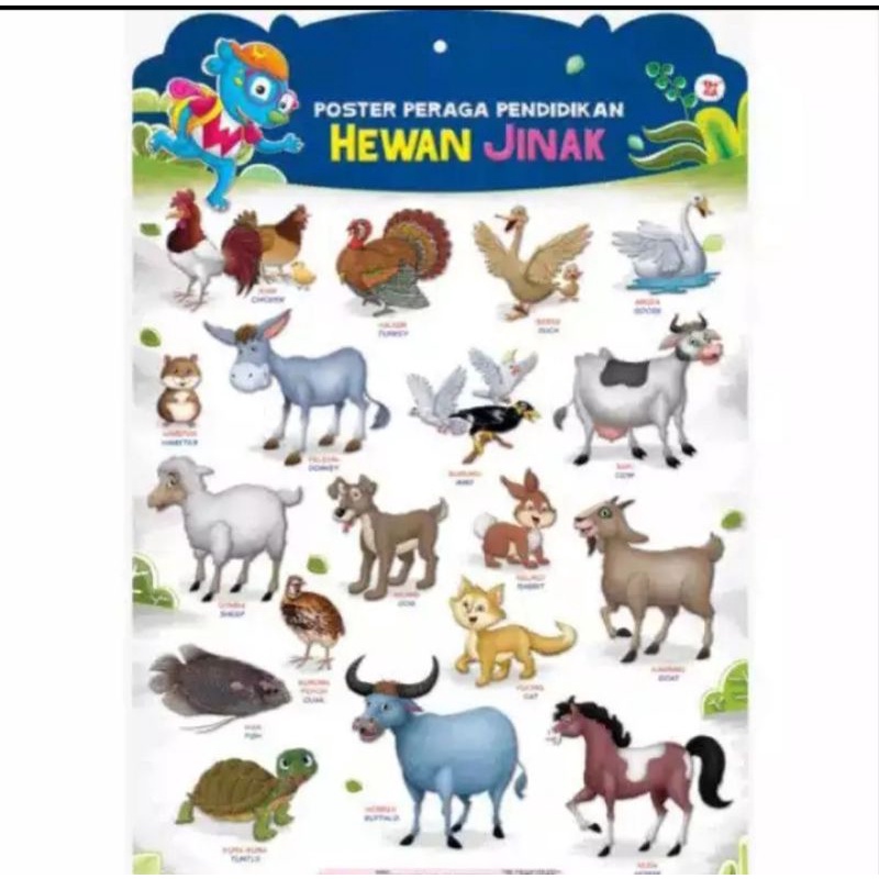 

POSTER PERAGA PENDIDIKAN HEWAN JINAK