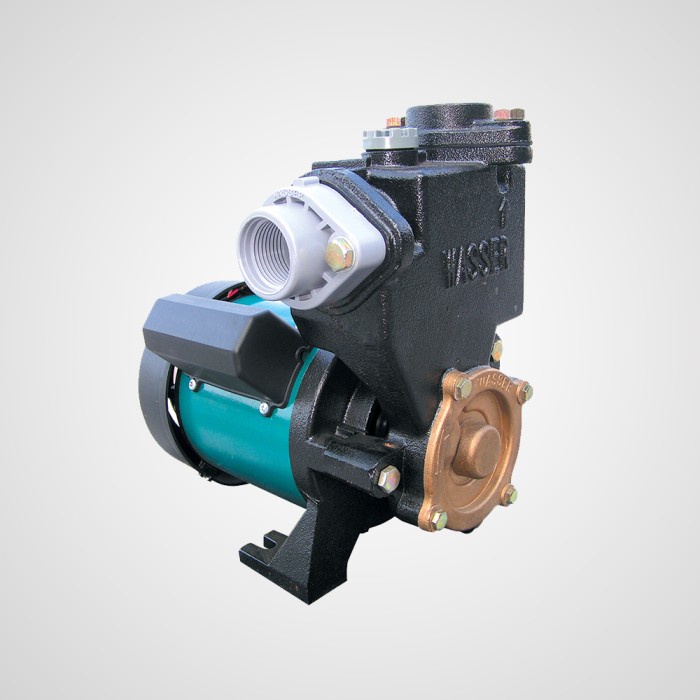 POMPA AIR WASSER NON AUTOMATIC 200 WATT PW - 225 E