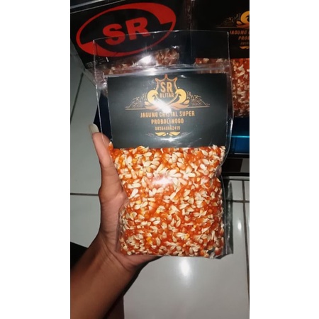 BIBIT JAGUNG KRISTAL SUPER CRISTAL BIBIT JAGUNG MERPATI JAGUNG KECIL BENIH JAGUNG MERPATI