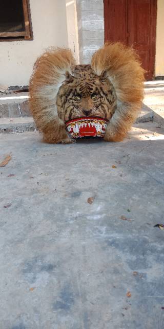 Barongan reog