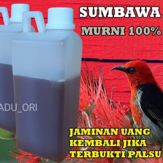 

Top Produk, Madu murni 1000 gr multiflora asli sumbawa hutan liar odeng uray yau. . .