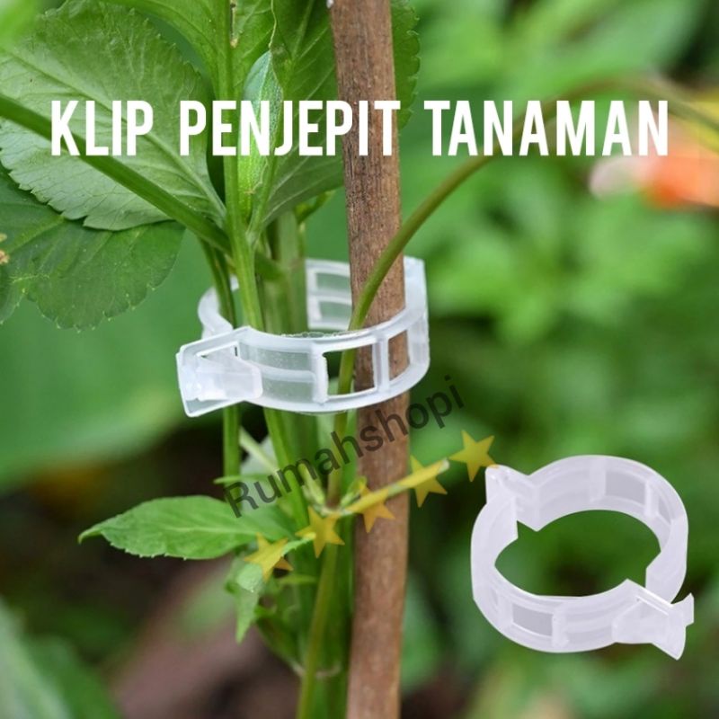 klip penjepit tanaman rambat penjepit tanaman tomat anggur cabe anggrek bibit biji buah bunga penyan