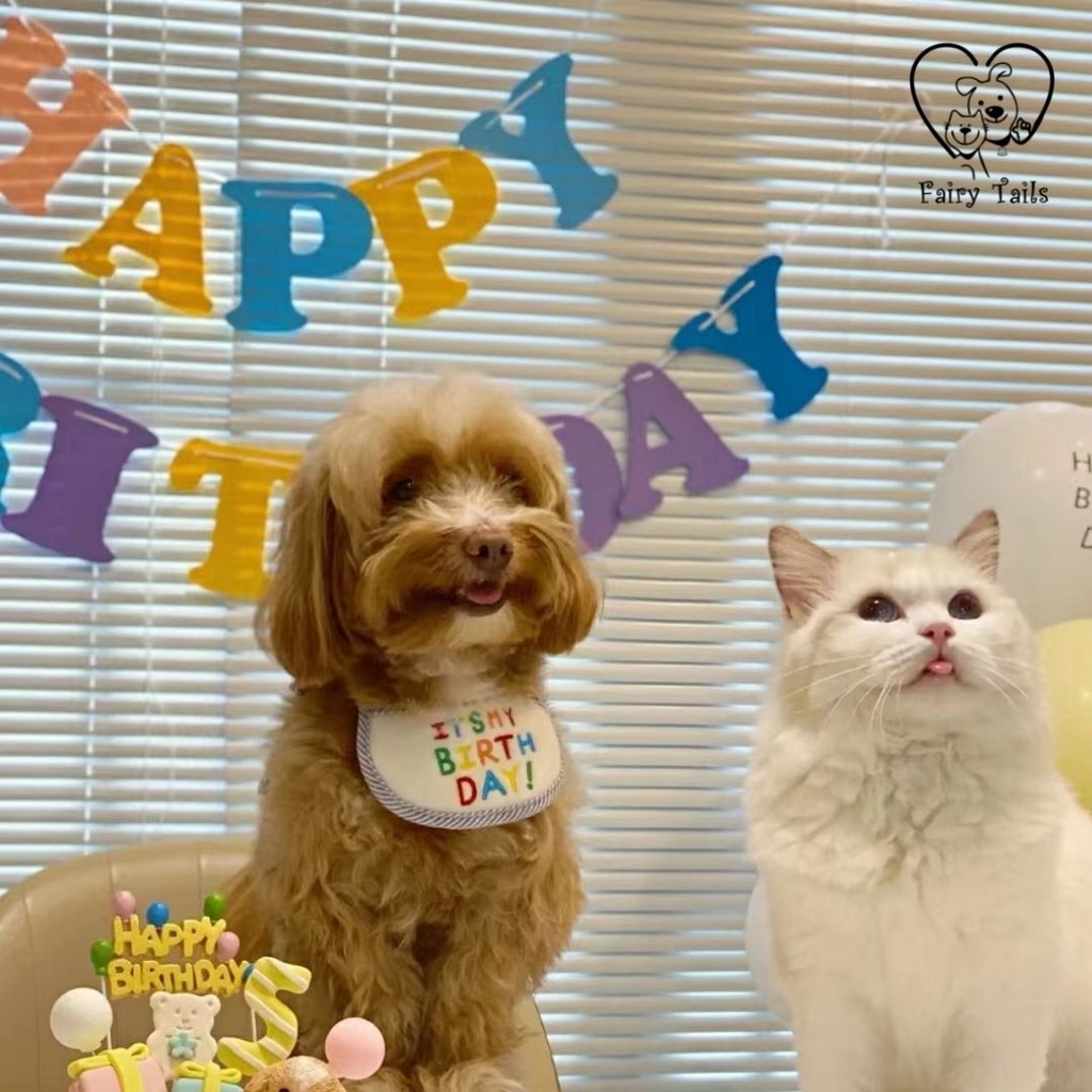 Bib / Slabber Kain Pesta Ulang Tahun Ultah Untuk Anjing dan Kucing / Bib for Birthday Party Pet Dog and Cat