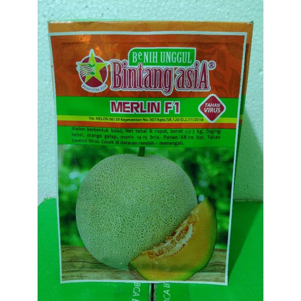 bibit melon MERLIN F1 20gr Bintang Asia