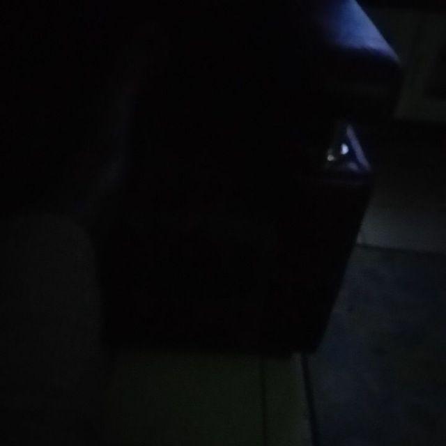 Neorever 1kg/perontok Cat