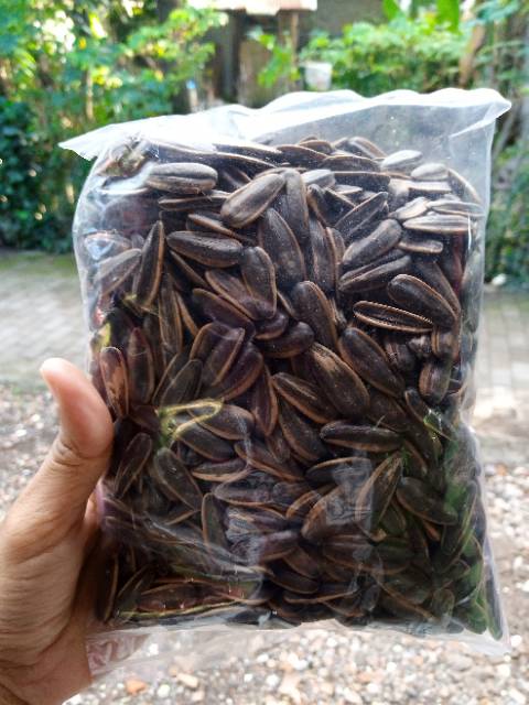 

Kwaci kuaci bunga matahari 500gr