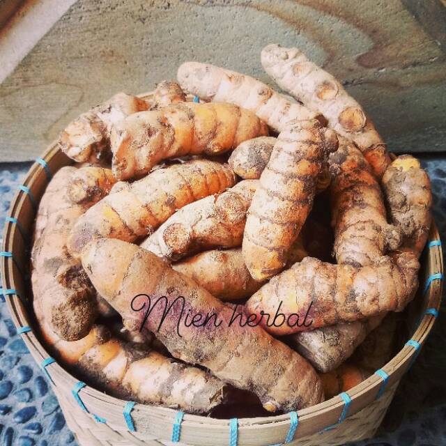 

Kunyit/Kunir Besar Segar 500gram