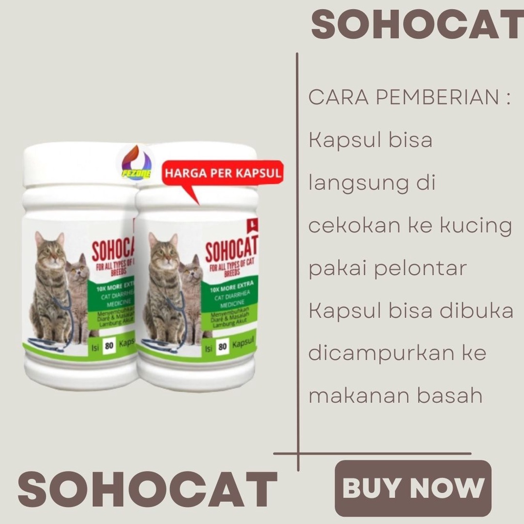 Obat Diare Mencret Kucing Eceran Terbukti Ampuh dan Aman Untuk Semua Jenis Kucing FEZONE