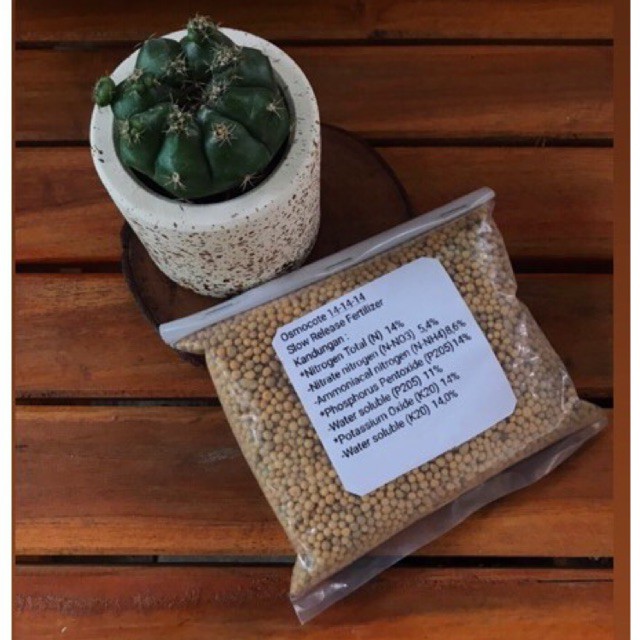 Pupuk Kaktus Slow Release Dekastar Osmocote 14-14-14 35g 50g 100g 250g
