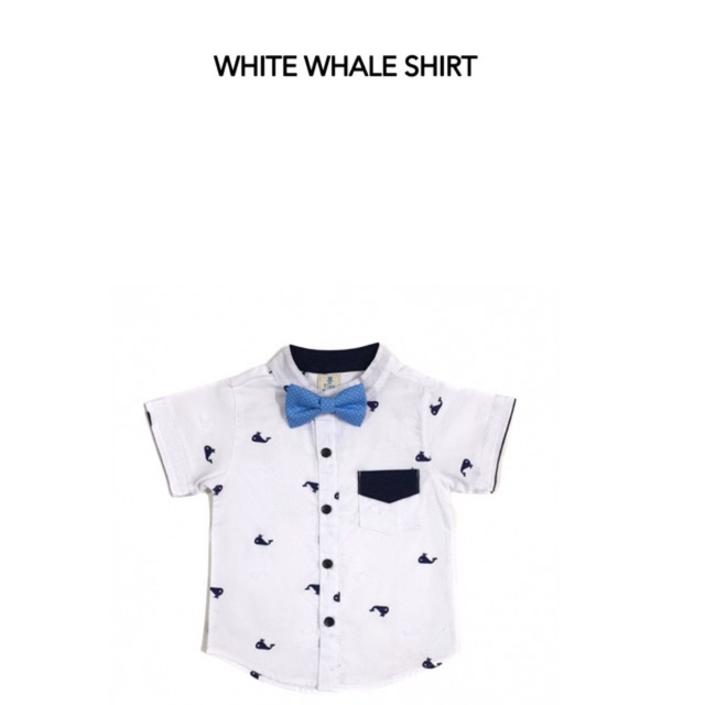 Whale Shirt