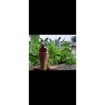 

madu sumbawa original