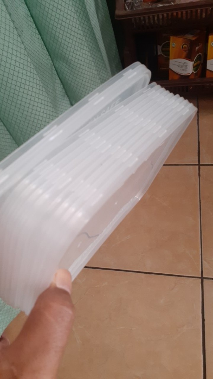 Thinwall 1000 Ml Rec(min Order 25 Dan Kelipatannya)