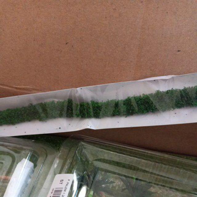 Perdu Hias Sangat Kecil Hijau Bunga Abu-abu - Bahan Maket Trg