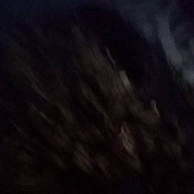 Tey-17 Batik Pria Asj Sa Hrb026 Kenongo Kemeja Tosca Pendek Pekalongan Padi M L Xl Sogan Tulis ::