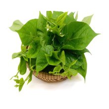 

Daun Ubi 500 gr